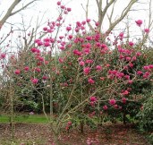 138cb56ce6efe28d9d1633c032531553