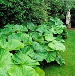 21911412663e7bc60c34b00a83cffd6c