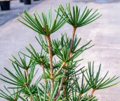 384333826_284950974352627_1282630427237346858_n9