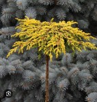 468458492_18035647214361020_3040605893085850283_n