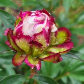 484032695_623999143717483_5494609499298208048_n