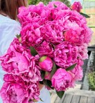 497965145_18301556479245194_1039911668924145480_n