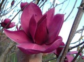 8ea31e786118a4c179f7b5413dbc3265