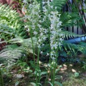 IMG-20220623-WA0022b584dc4f04da1a3b.th