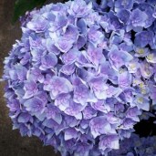 You-and-Me-Together-04