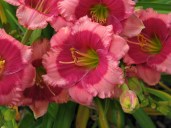 a656bfbb331a74adab9523b9ce7ec47b