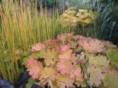 ba3db0125a4ae6aad3b6cbf3b6d6af2a