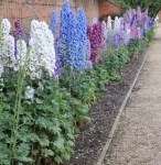 cb17592f3710762a1b1c0ddf9155c221