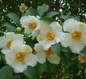 ce43e0138300eb98aad587492745826b