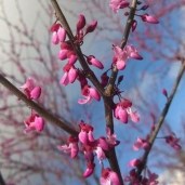 plant_30457_user_1656_20210412231702