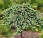 t3b2vhmz06t52msq2ab9nmcfgnax66k2