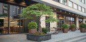 ultra-realistic-editorial-photo-of-aralia-elata--1024x512