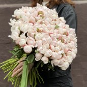 pion_festiva_2